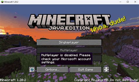 Enable Multiplayer Minecraft for Child Account.